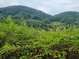이호성님의 작성글 사진
