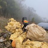 팜모닝 · 게시글 이미지