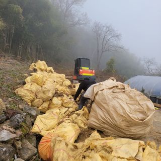 이호성님의 작성글 사진