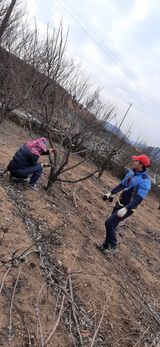 팜모닝 감·자유게시판 게시글 이미지