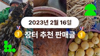 팜모닝님의 팜모닝공식 · 혜택 작성글 사진