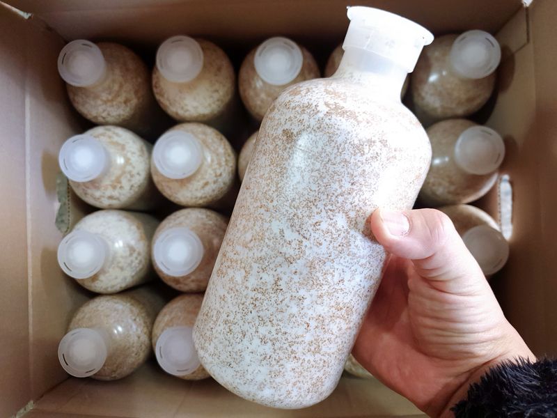 한농농약종묘사님의 장터 판매 상품 [느타리버섯종균 ] 첨부 사진