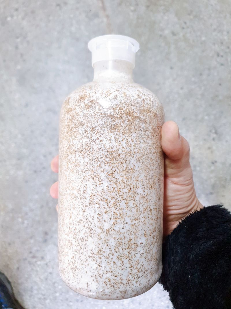 장터 상품 [느타리버섯종균 ] 썸네일