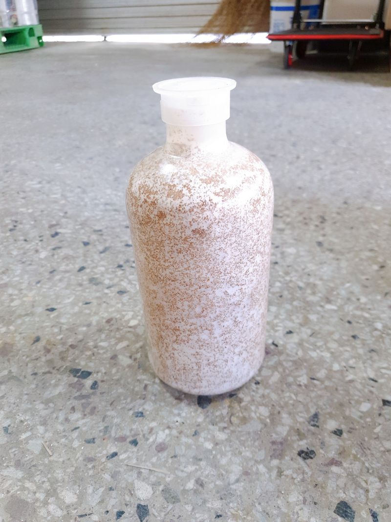 한농농약종묘사님의 장터 판매 상품 [느타리버섯종균 ] 첨부 사진