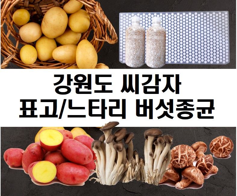 한농농약종묘사님의 장터 판매 상품 [느타리버섯종균 ] 첨부 사진