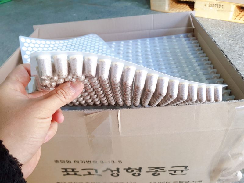 한농농약종묘사님의 장터 판매 상품 [표고버섯종균.느타리버섯종균(성형592공) ] 첨부 사진