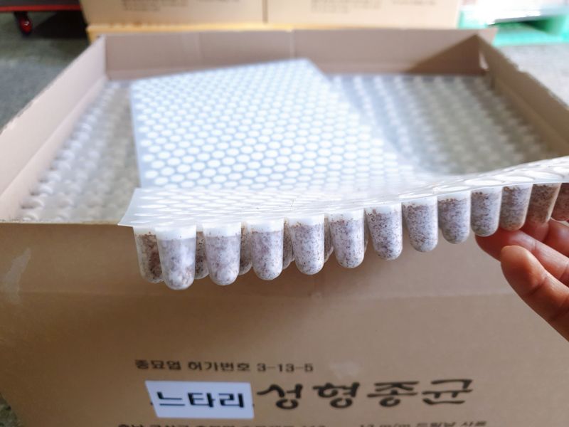 장터 상품 [표고버섯종균.느타리버섯종균(성형592공) ] 썸네일