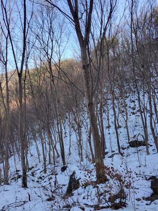 정완희 님의 작성글 사진