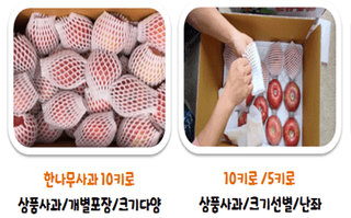 숲등농장 달밭사과님의 작성글 사진