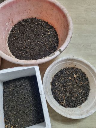 이호성님의 두릅 · 일상 작성글 사진