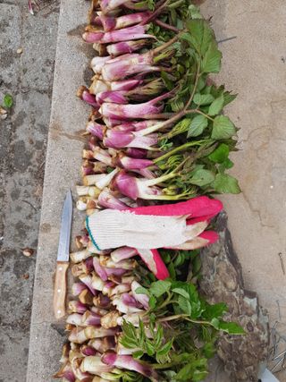 오아성님의 작성글 사진