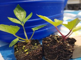 오아성님의 작성글 사진