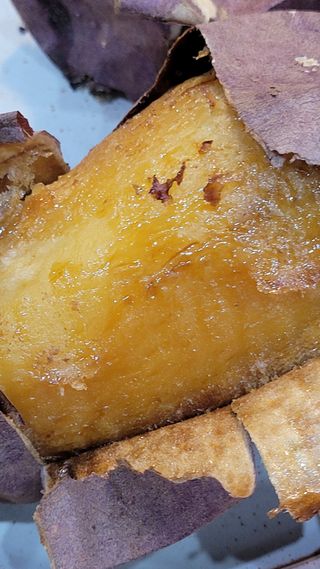 무안선유농원님의 작성글 사진