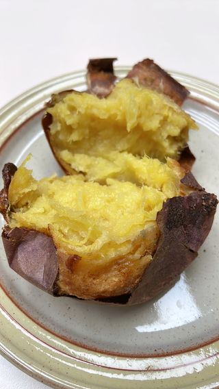 무안선유농원님의 작성글 사진