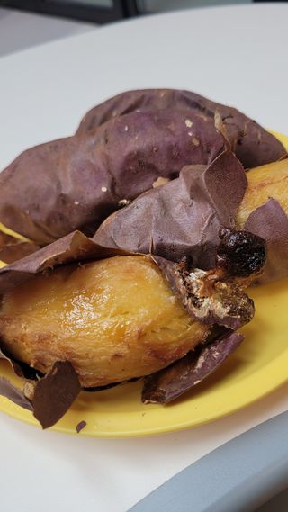 무안선유농원님의 작성글 사진