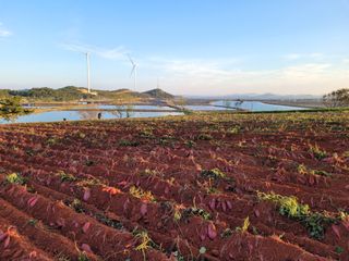 무안선유농원님의 작성글 사진