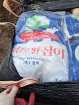 팜모닝 기타작물·자유게시판 게시글 이미지