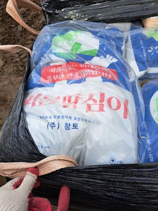 피롤땅지기님의 기타작물 · 자유게시판 작성글 사진