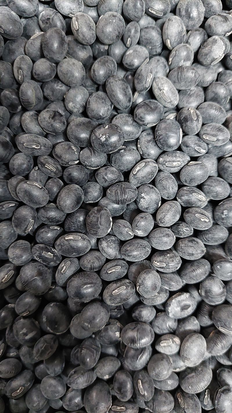 장터 상품 [서리태 청자5호] 썸네일