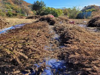 윤인석님의 작성글 사진