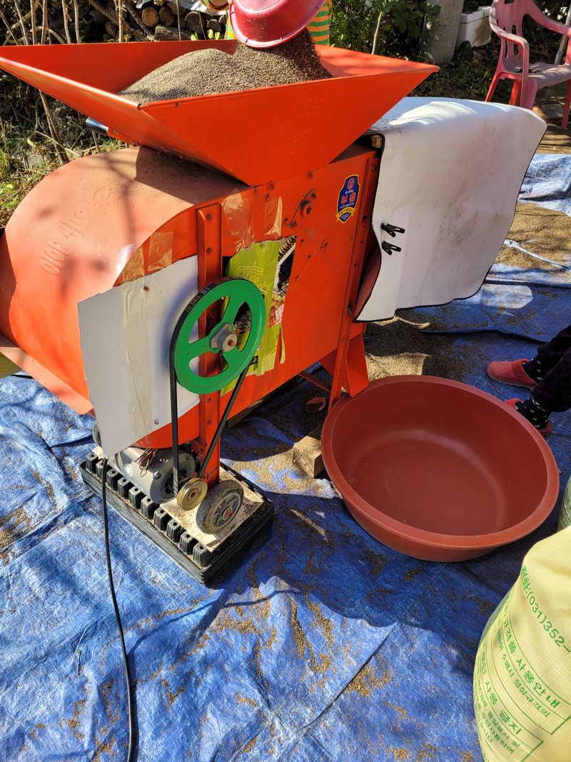 윤인석님의 장터 판매 상품 [들깨 ] 첨부 사진