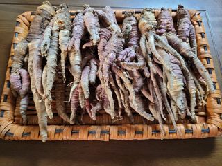 이름유순옥님의 기타작물 · 자유게시판 작성글 사진