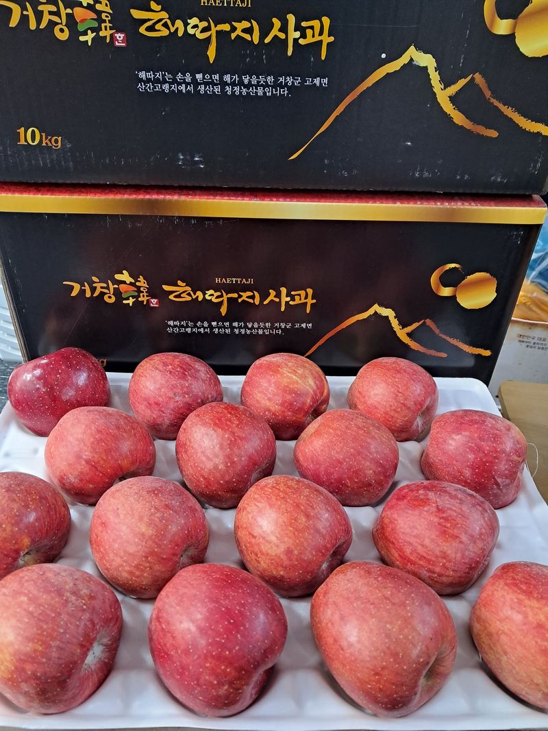 장터 상품 [[판매중단] 🍎 해따지 사과 5kg🍎 ] 썸네일