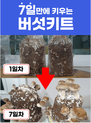 팜모닝님의 팜모닝공식 · 혜택 작성글 사진