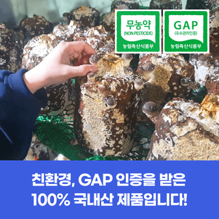 팜모닝님의 팜모닝공식 · 혜택 작성글 사진