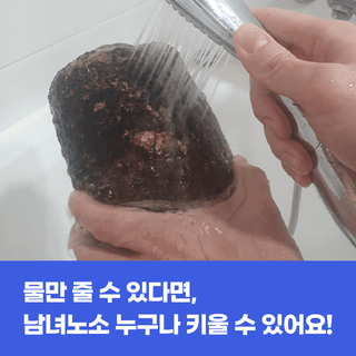 팜모닝님의 팜모닝공식 · 혜택 작성글 사진