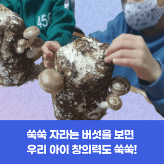 팜모닝님의 팜모닝공식 · 혜택 작성글 사진