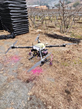 이정찬님의 배 · 생장기 농작업 작성글 사진