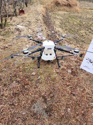 이정찬님의 배 · 생장기 농작업 작성글 사진