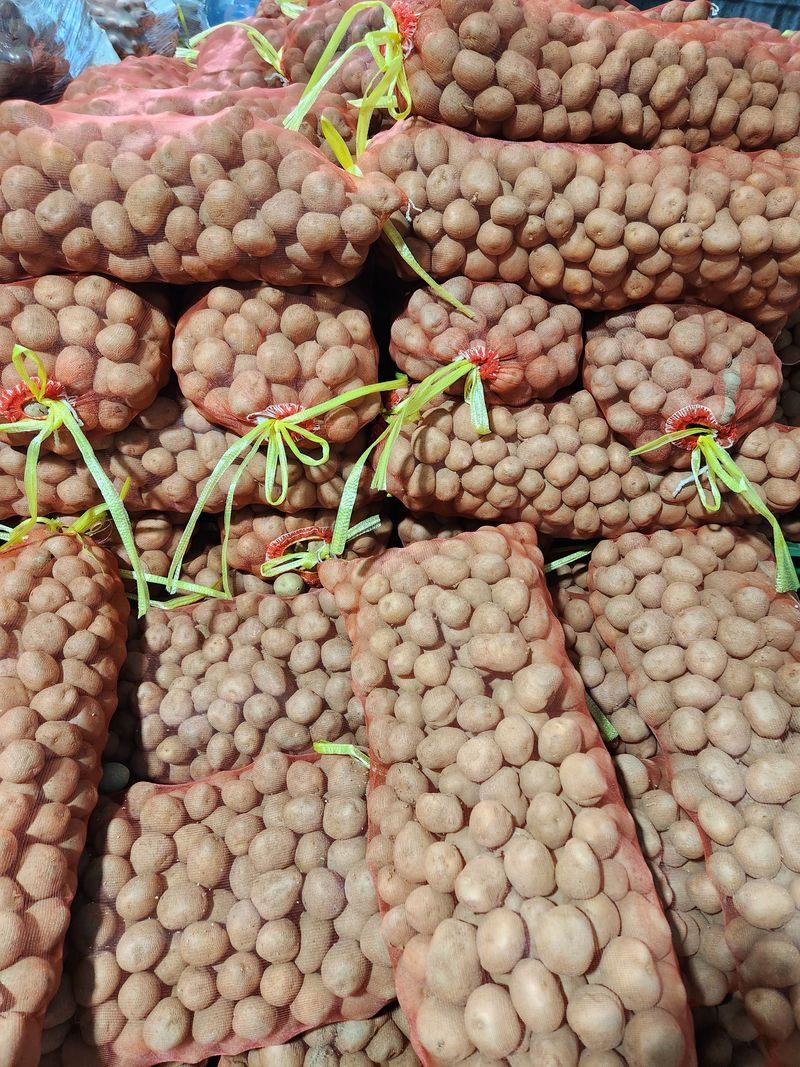 장터 상품 [감자씨20kg(품절)] 썸네일