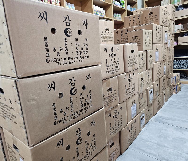 한농농약종묘사님의 장터 판매 상품 [씨감자 정품 판매(수미,두백)5KG. 10KG. 20KG ] 첨부 사진