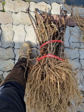 행복한나무농장님의 작성글 사진