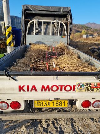 행복한나무농장님의 작성글 사진