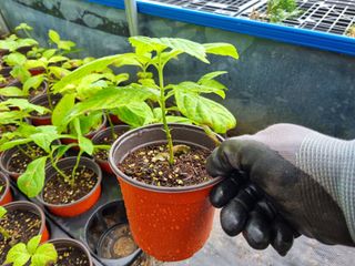 ν볡νλ무λμ₯λμ μμ±κΈ μ¬μ§