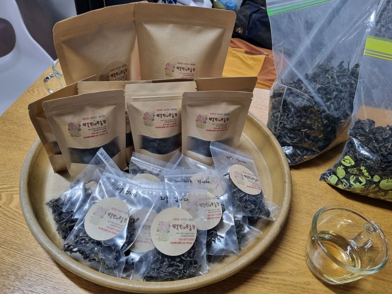 장터 상품 [(예약중)토종차수국 2년생 봄출하 주문받습니다.] 썸네일