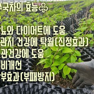 행복한나무농장님의 작성글 사진