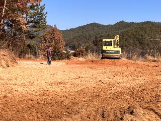 정루미님의 두릅 · 일상 작성글 사진