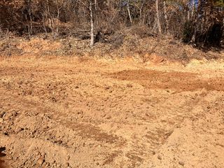 정루미님의 두릅 · 일상 작성글 사진