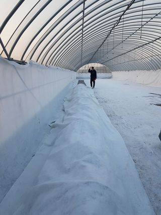 오아성님의 작성글 사진