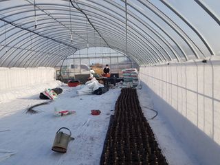 오아성님의 작성글 사진