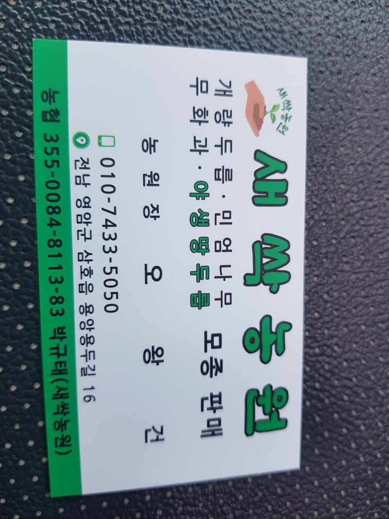 오왕건님의 장터 판매 상품 [무화과 묘목[판매완료]]] 첨부 사진