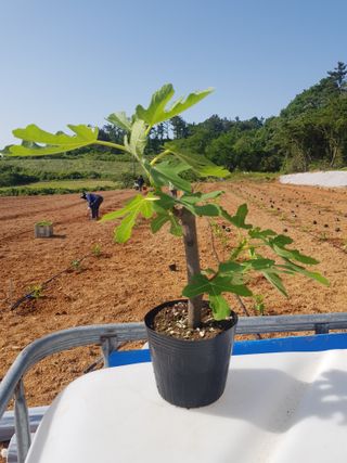 오아성님의 작성글 사진