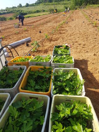 오아성님의 작성글 사진