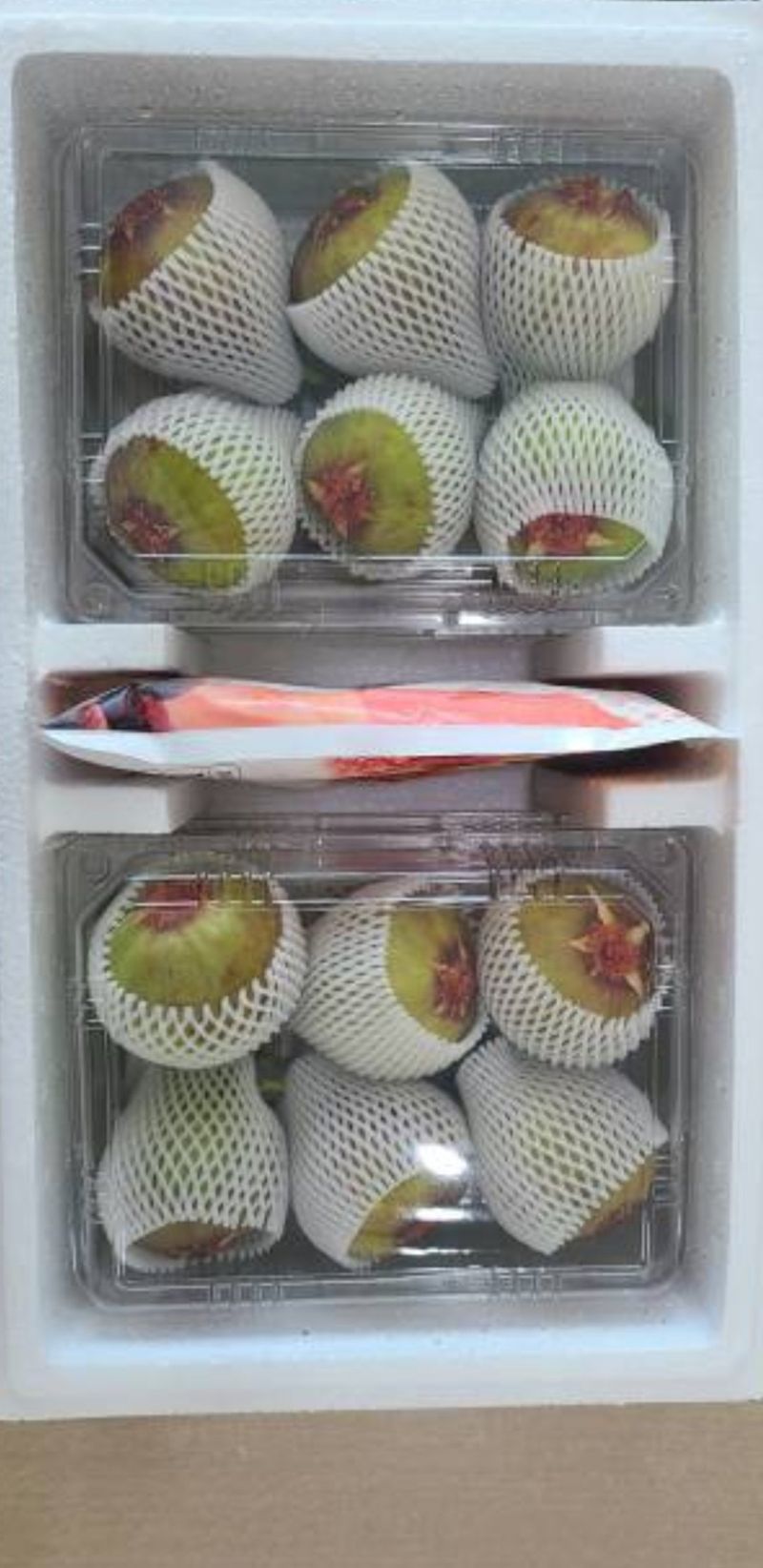 오아성님의 장터 판매 상품 [무화과 묘목 (3주단위)] 첨부 사진