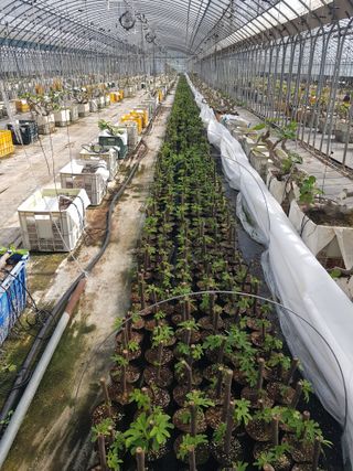 오아성님의 작성글 사진