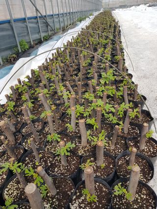 오아성님의 작성글 사진